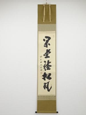 前大徳藤井誡堂筆　「閑坐聴松風」一行書　肉筆紙本掛軸（立花大亀箱書）